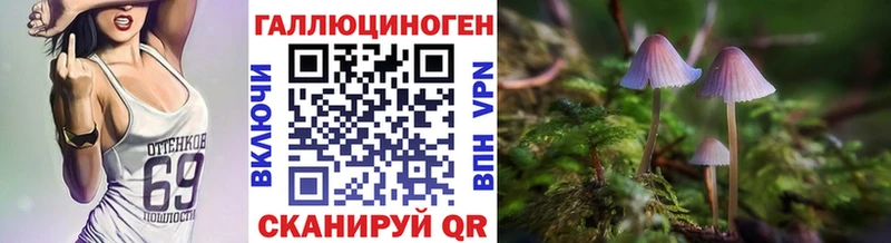 shop какой сайт  наркота  ссылка на мегу маркетплейс  Новый Уренгой  Галлюциногенные грибы Psilocybe 